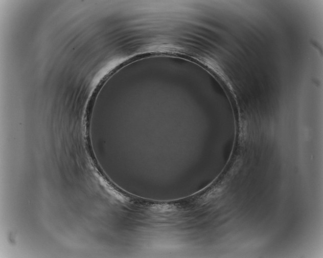 X0000103141037200808221211