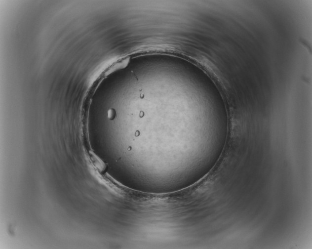 X0000103141038200808221211