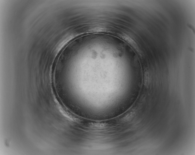 X0000103141039200808221211