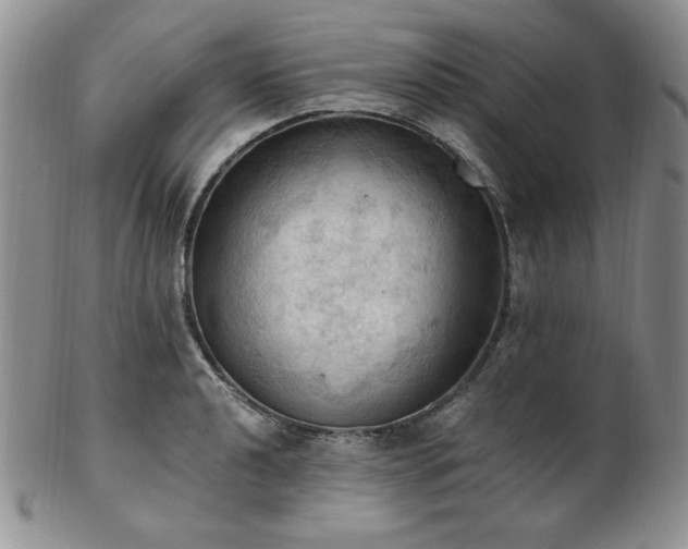 X0000103141040200808221211