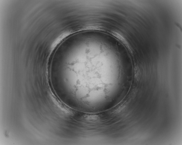 X0000103141043200808221211