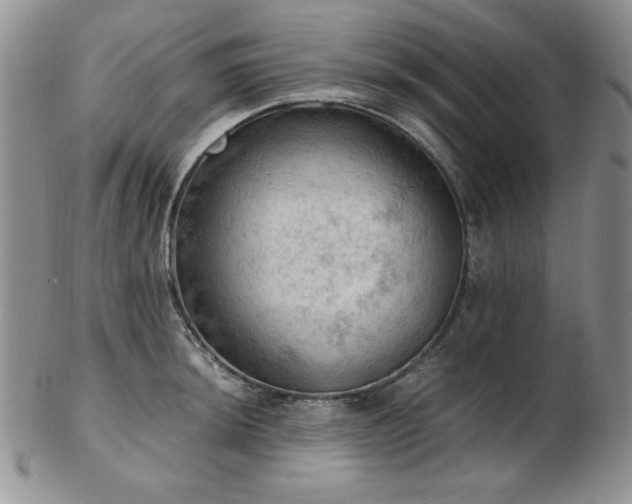 X0000103141044200808221211