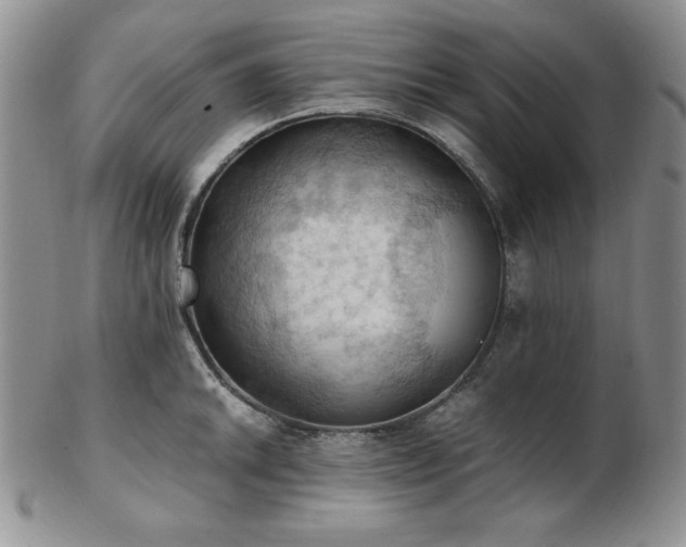 X0000103141046200808221212