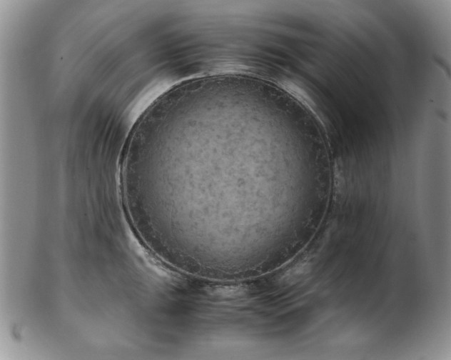 X0000103141047200808221212