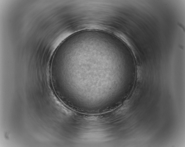 X0000103141048200808221212