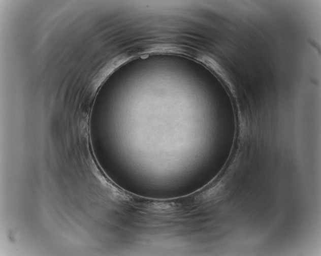 X0000103141049200808221212