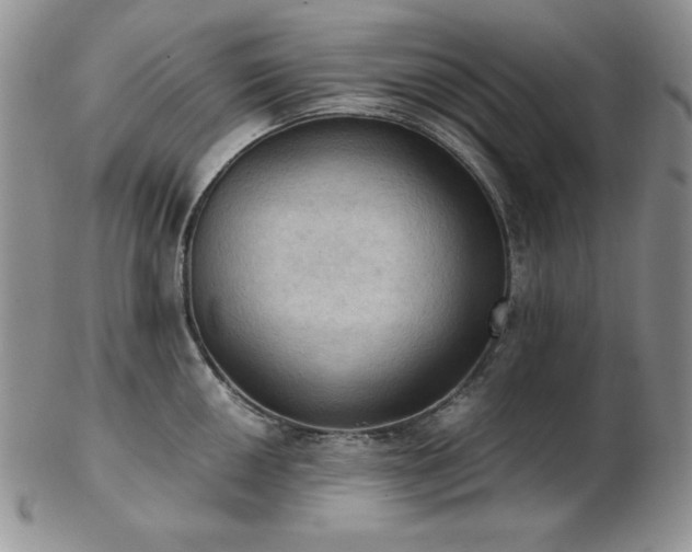 X0000103141050200808221212