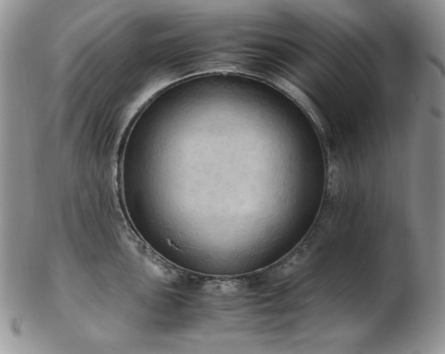 X0000103141051200808221212