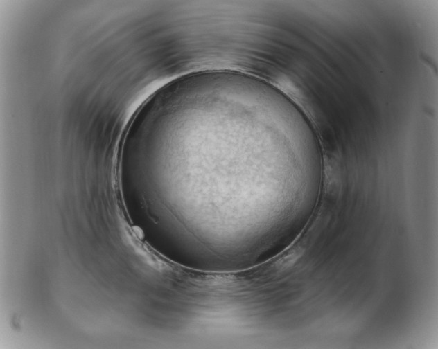 X0000103141052200808221212