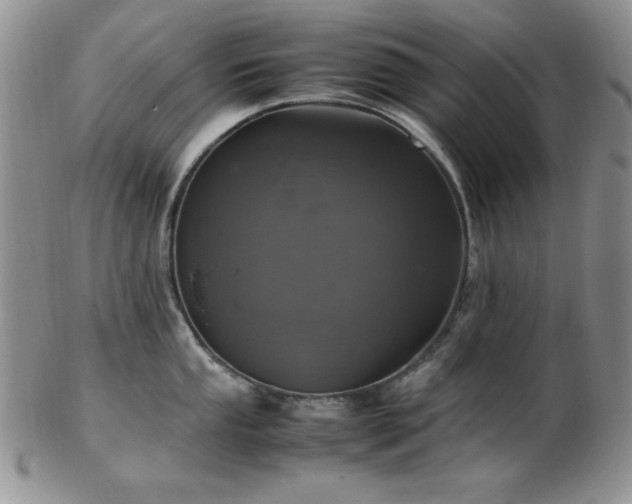 X0000103141053200808221212