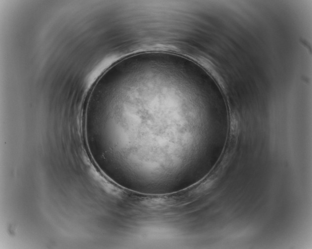 X0000103141054200808221212