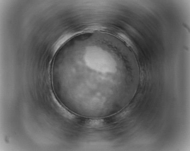 X0000103141055200808221212