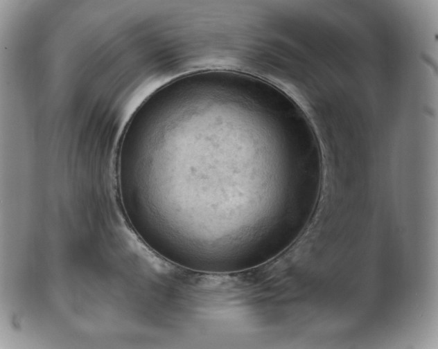 X0000103141056200808221212