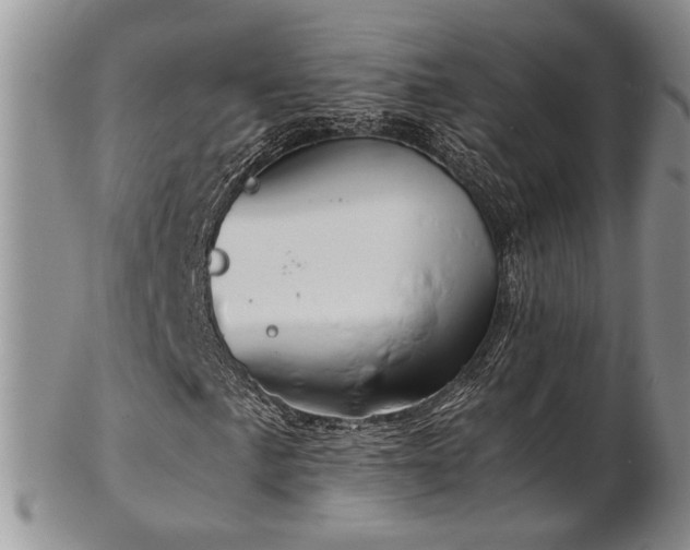 X0000103141057200808221211