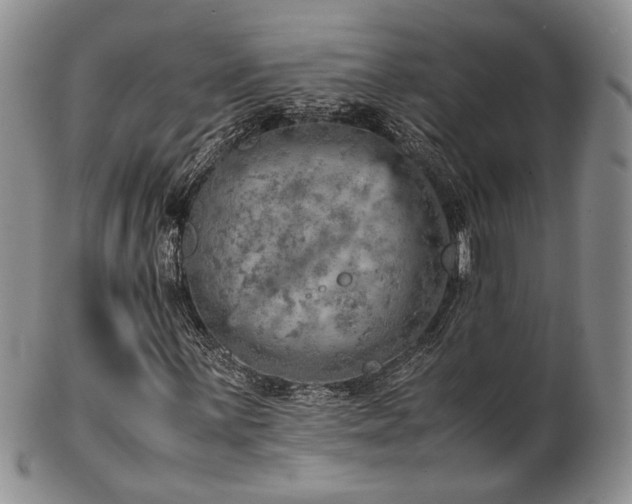 X0000103141059200808221211