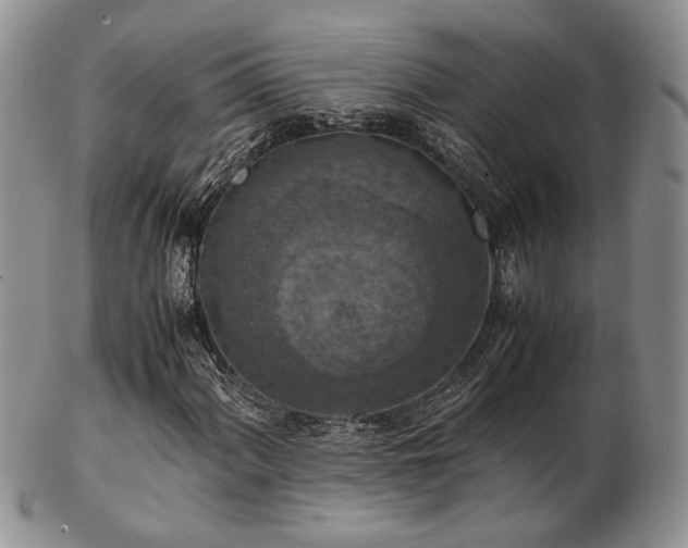 X0000103141060200808221211