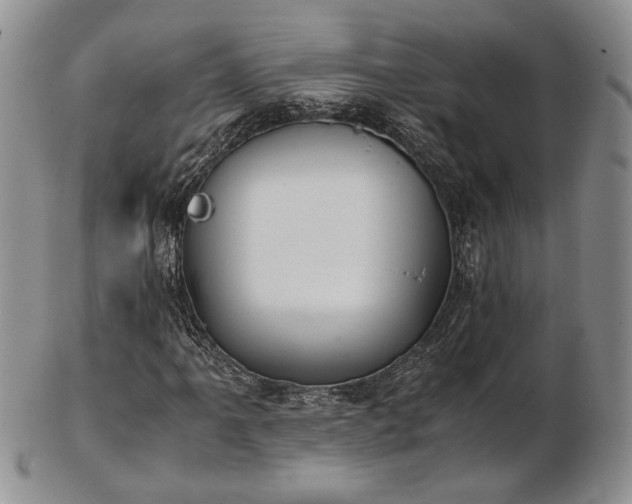 X0000103141061200808221211