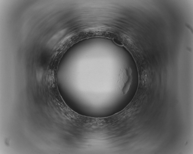 X0000103141062200808221211