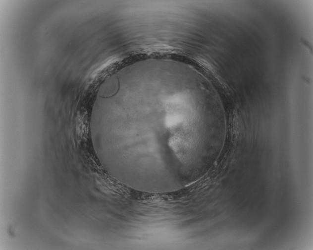 X0000103141063200808221211