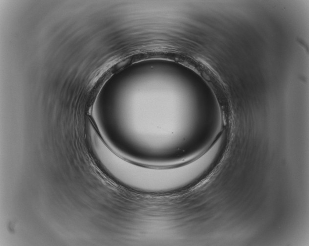 X0000103141065200808221211