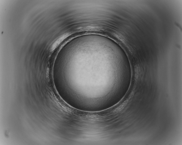 X0000103141066200808221211