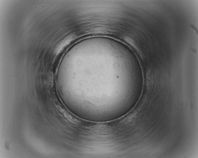 X0000103141067200808221211