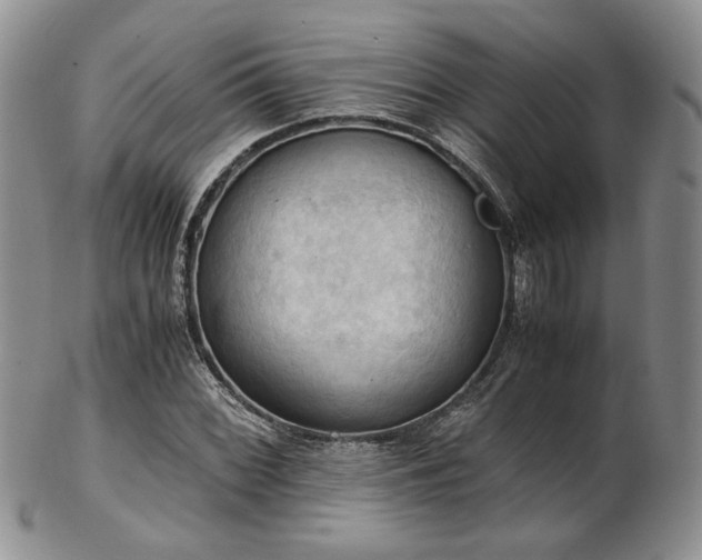 X0000103141068200808221211