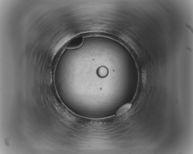 X0000103141069200808221211