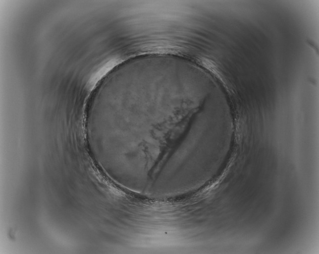 X0000103141071200808221211