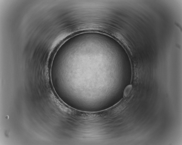 X0000103141072200808221211