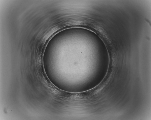 X0000103141073200808221211