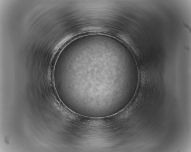 X0000103141074200808221211