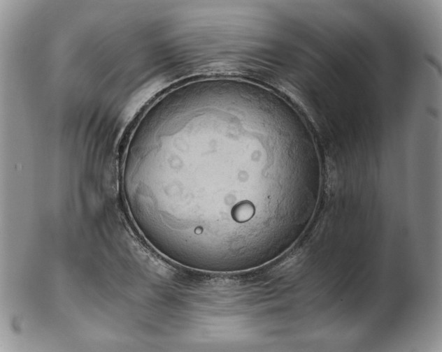 X0000103141075200808221211