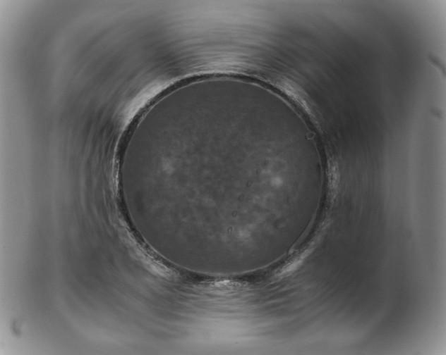 X0000103141077200808221211