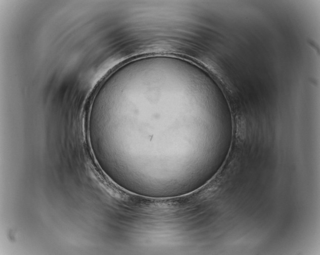 X0000103141078200808221211