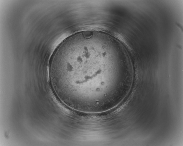 X0000103141079200808221211