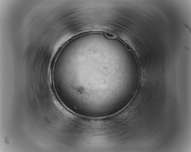 X0000103141080200808221211