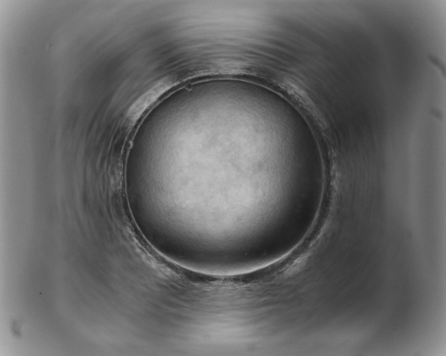 X0000103141081200808221211