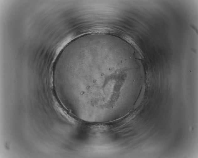 X0000103141083200808221211