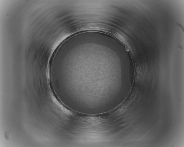 X0000103141084200808221211