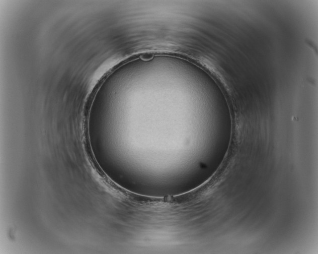 X0000103141085200808221211