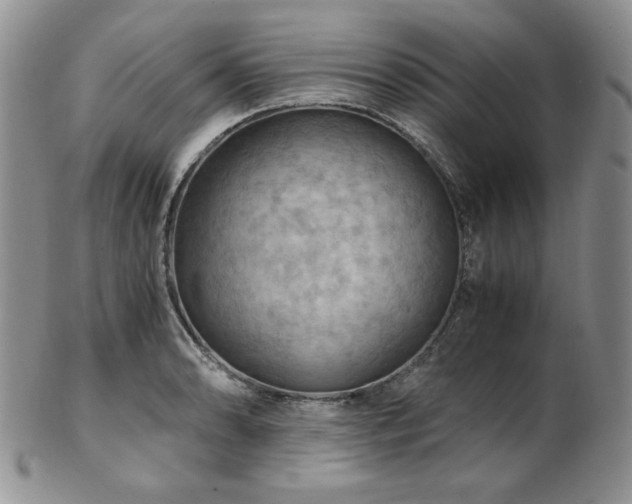 X0000103141086200808221211