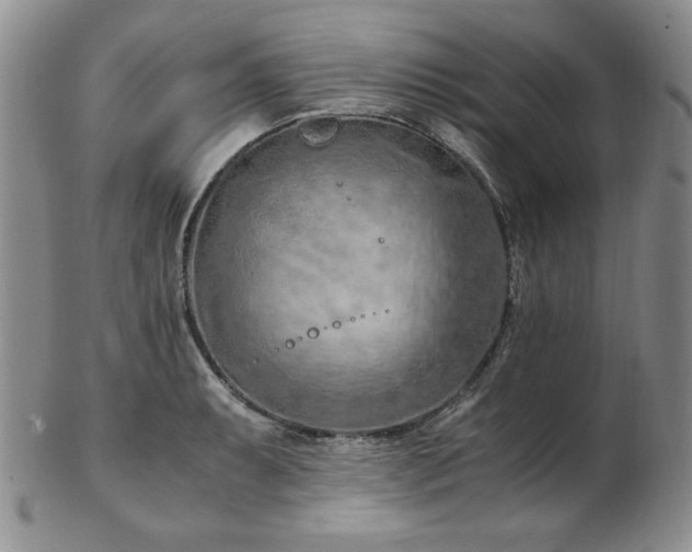 X0000103141087200808221211