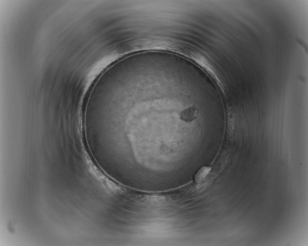 X0000103141088200808221210