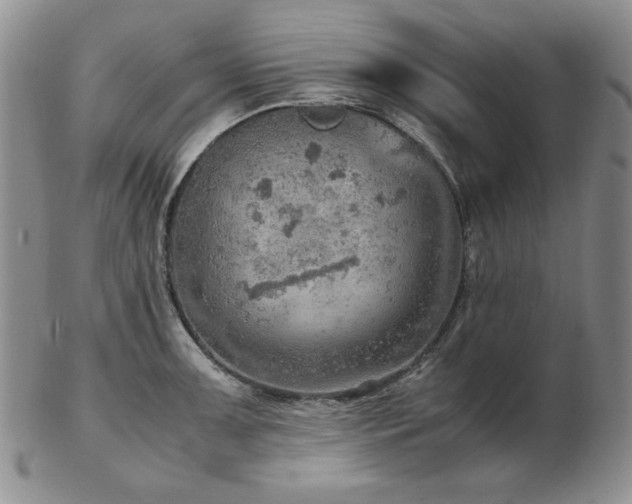 X0000103141091200808221210