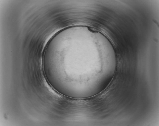 X0000103141092200808221210