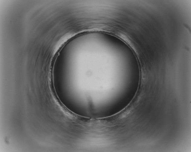 X0000103141093200808221210