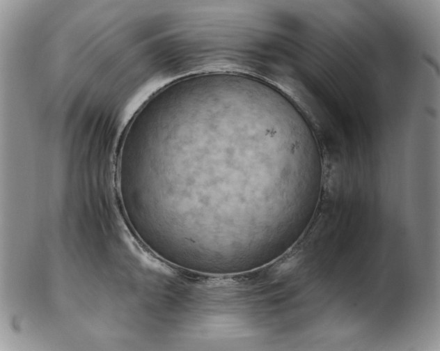 X0000103141094200808221210