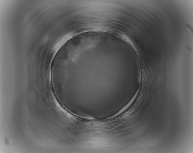 X0000103141095200808221210