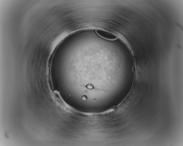 X0000103141096200808221210